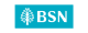 BSN Bank logo