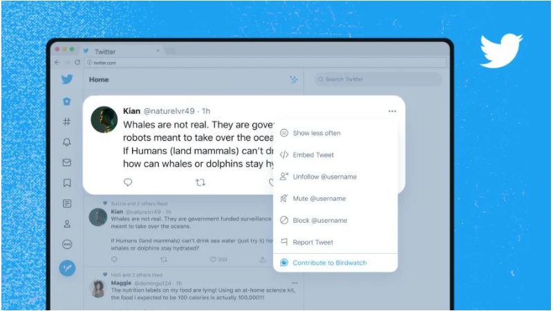 Twitter unveils Birdwatch to fight misinformation