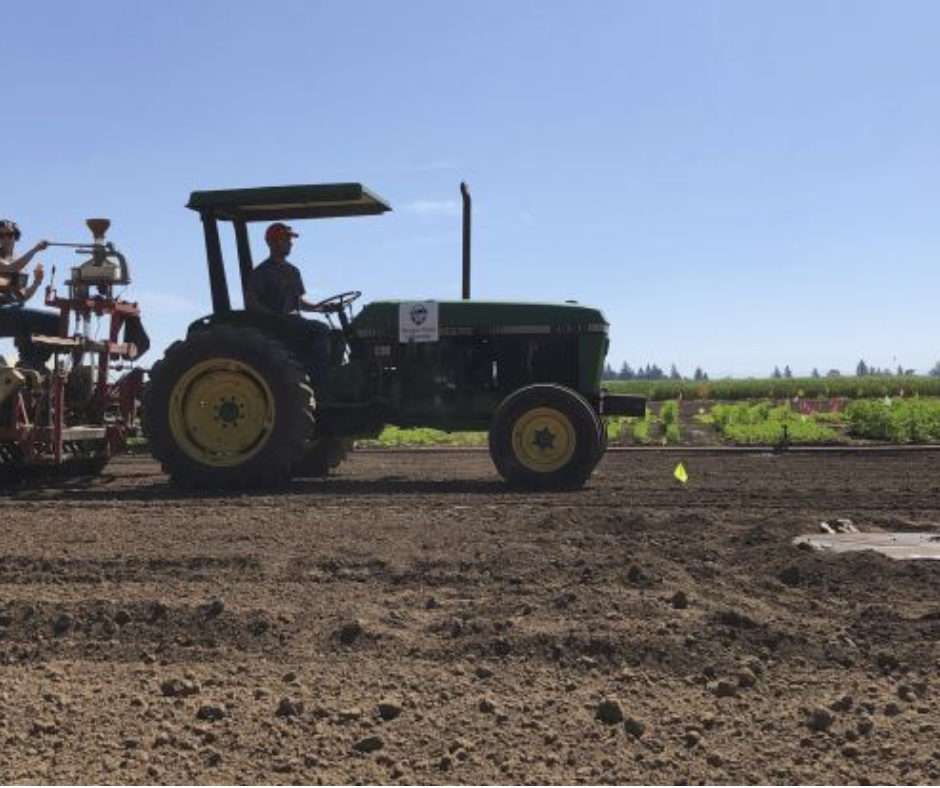 Farmers earn more from YouTube than their crops