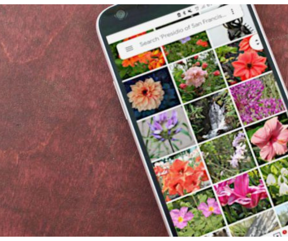 Google Photos now allows you to search for text in your pics