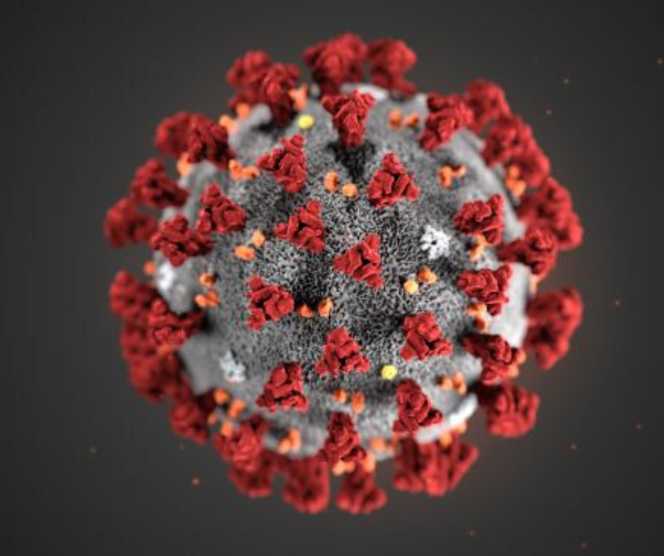 Here’s how to use your PC to help fight coronavirus