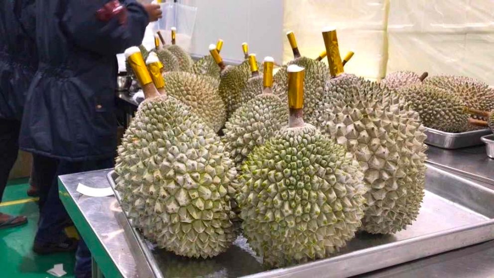 ALIBABA OFFERS MALAYSIAN DURIAN EASY ACCESS TO CHINA