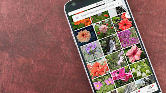 Google Photos now allows you to search for text in your pics
