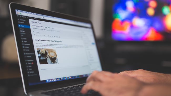 WordPress plugins have critical security flaw