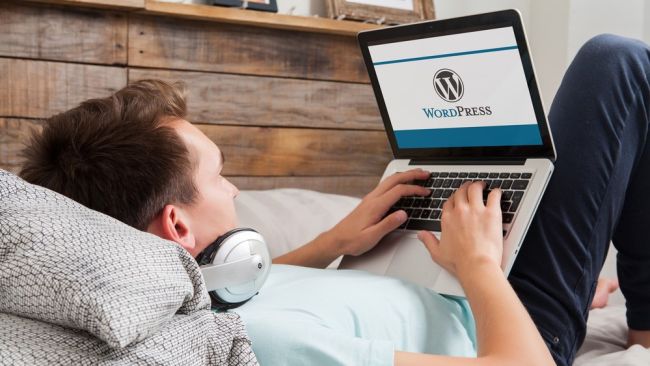 WordPress is the world’s most popular CMS