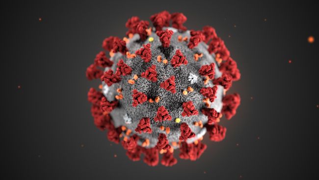 Here’s how to use your PC to help fight coronavirus